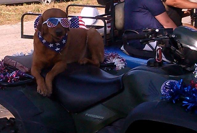 dog_sunglasses_resized