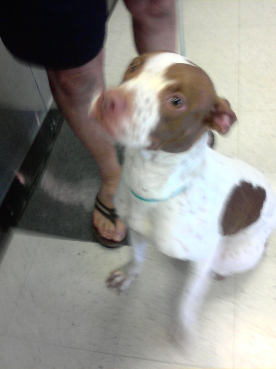 2011_may_first_photo_macy